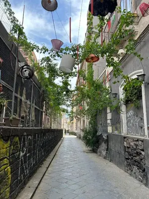 Il quartiere o una zona nella vicinanze dell'appartamento
