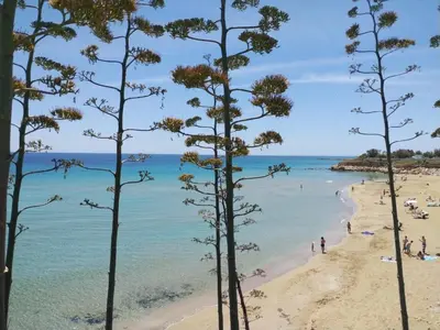 Paesaggio naturale nelle vicinanze del bed & breakfast