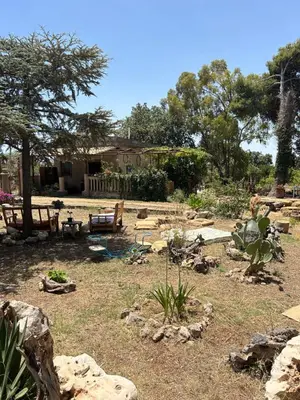 Giardino di Raw sicily 11