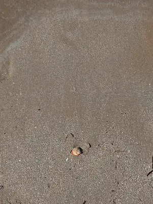 Planimetria di LunaBlu