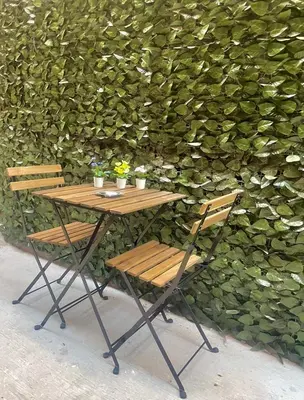 Giardino di Fz house