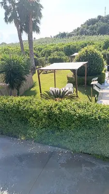 Giardino di Green House La Torre