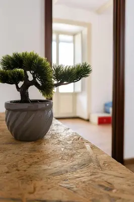 Planimetria di yourban loft