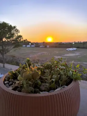 Alba o tramonto visti dall'interno dell'appartamento o dai dintorni