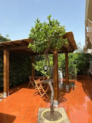 Giardino di Villa Benazar - Luxury Suite 150m to the sea