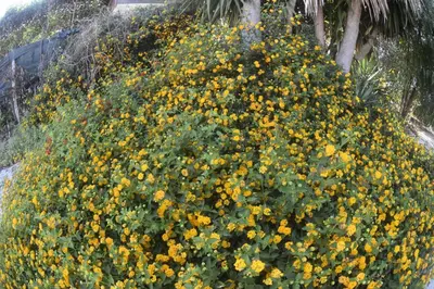 Paesaggio naturale nelle vicinanze della casa vacanze