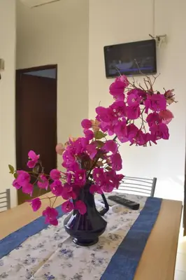 TV o dispositivi per l'intrattenimento presso LM Home Casa di campagna a 2 min a piedi dal mare