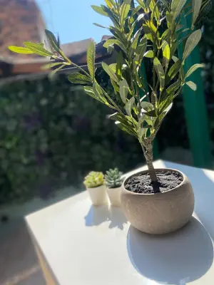 Planimetria di La Casa di Noah