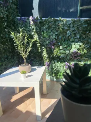 Giardino di La Casa di Noah
