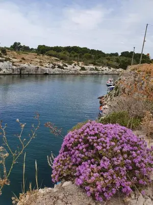 Paesaggio naturale nelle vicinanze dell'appartamento