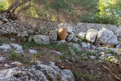 Paesaggio naturale nelle vicinanze dell'affittacamere
