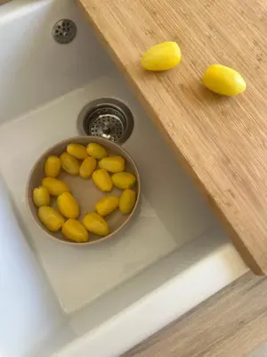 Planimetria di Ziran