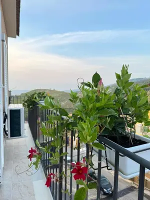 Balcone o terrazza di Avi Rooms