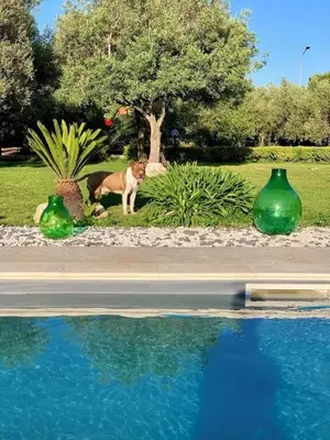 Piscina di Villa Iblea - Private Pool & Sunset Hill Views o nelle vicinanze