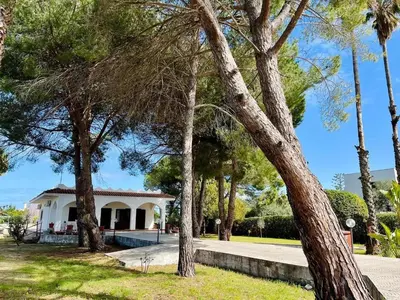 Giardino di Villa la Pineta
