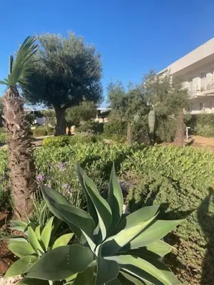 Giardino di Borgo 84 - La Perla84 Marzamemi