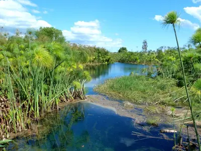 Paesaggio naturale nelle vicinanze dell'appartamento