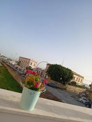 Il quartiere o una zona nella vicinanze dell'appartamento