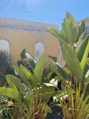 Giardino di Residenza Vittorini