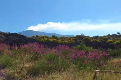 Paesaggio naturale nelle vicinanze dell'appartamento