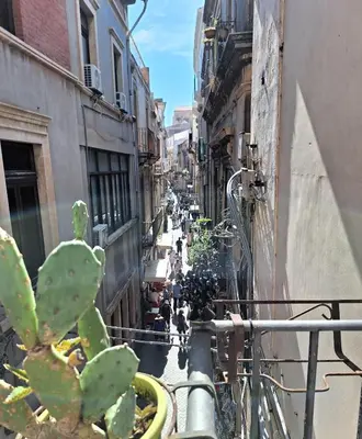 Il quartiere o una zona nella vicinanze dell'appartamento