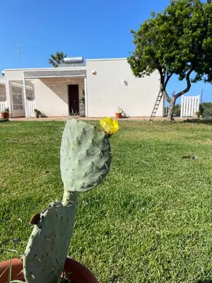 Giardino di Sicilia holiday Etna house