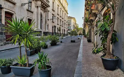 Il quartiere o una zona nella vicinanze dell'appartamento