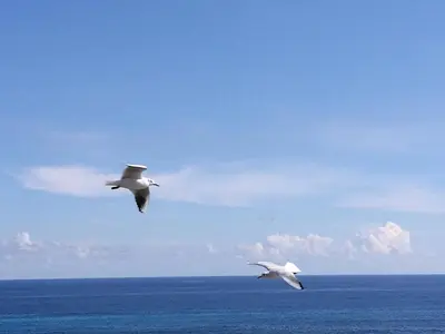 Paesaggio naturale nelle vicinanze dell'appartamento