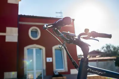Attività di ciclismo presso il bed & breakfast o nelle vicinanze