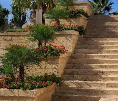 Giardino di B&B Villa Brikinnia
