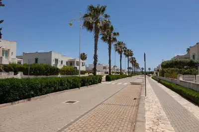 Il quartiere o una zona nella vicinanze della casa vacanze