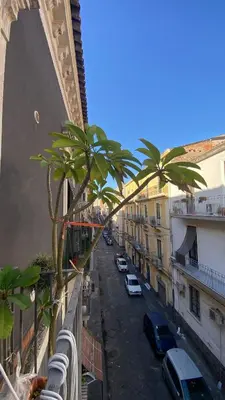 Il quartiere o una zona nella vicinanze dell'appartamento