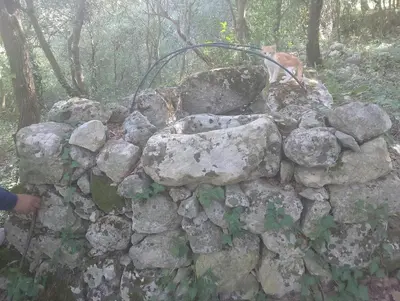 Planimetria di La Casetta Nel Bosco Delle Nereidi