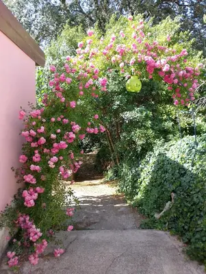 Giardino di La Casetta Nel Bosco Delle Nereidi