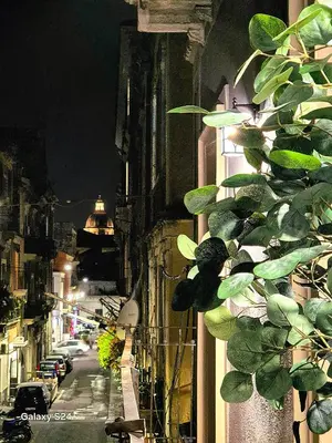 Planimetria di Zebra a Pua' Boutique Apartment