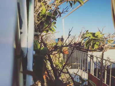 Balcone o terrazza di Stanza sul Mare