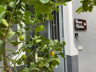 Planimetria di Alle porte del Castello 23