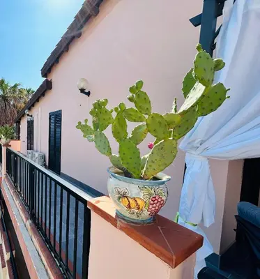 Cibo presso la casa vacanze o nelle vicinanze