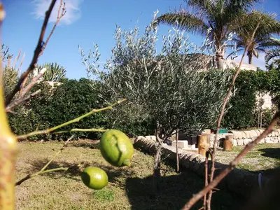 Giardino di Villa Davima