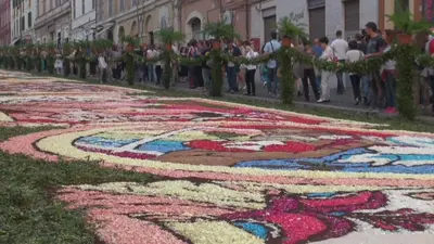 Ospiti di Villa Davima