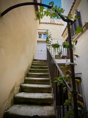 Planimetria di Jureca place