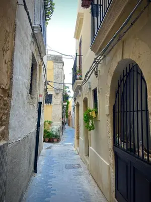 Il quartiere o una zona nella vicinanze dell'appartamento
