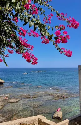 Paesaggio naturale nelle vicinanze della casa vacanze