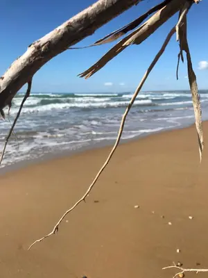 Paesaggio naturale nelle vicinanze della casa vacanze