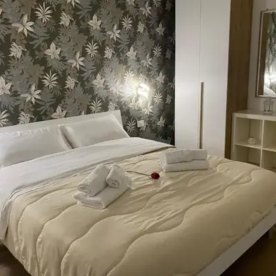 Il Tulipano house
