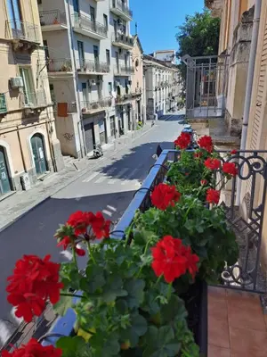 Il quartiere o una zona nella vicinanze dell'appartamento