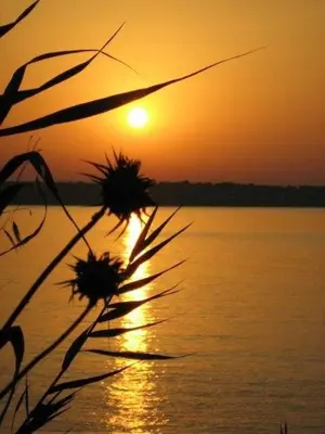 Paesaggio naturale nelle vicinanze dell'appartamento