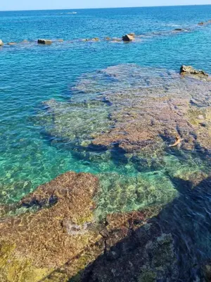 Paesaggio naturale nelle vicinanze dell'appartamento