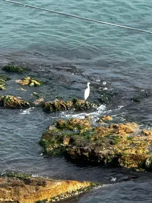 Paesaggio naturale nelle vicinanze dell'appartamento