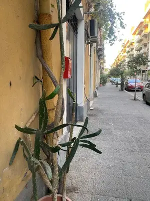 Il quartiere o una zona nella vicinanze dell'appartamento